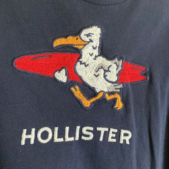 Hollister Embroidered Large Surf Duck - Picture 4 of 5